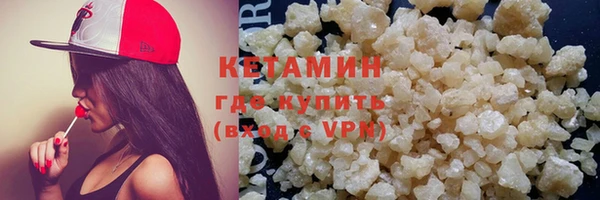PSILOCYBIN Болотное