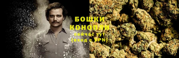 СК Верея