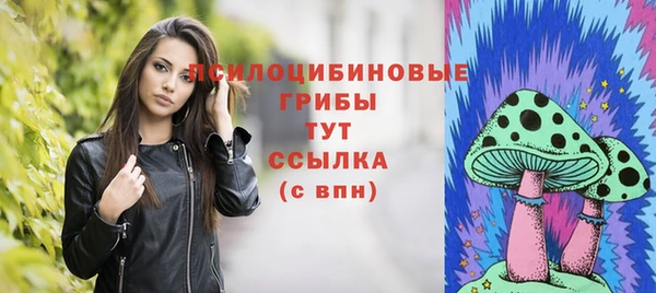 соль курить ск Весьегонск