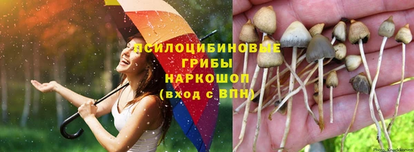 соль курить ск Весьегонск