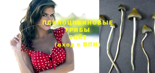 MDMA Premium VHQ Бородино