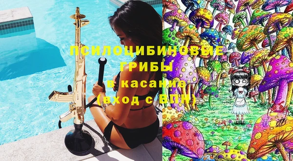 стаф Гусь-Хрустальный