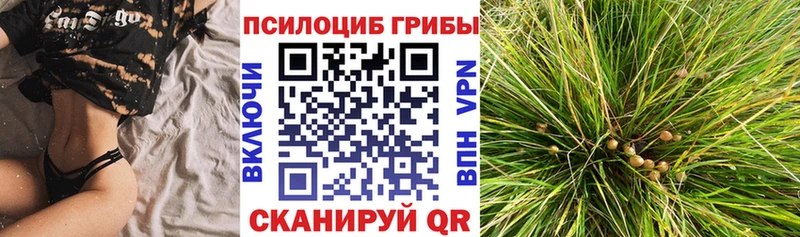 Галлюциногенные грибы MAGIC MUSHROOMS  цены   Бородино 